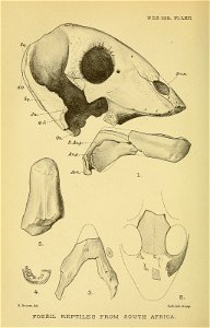 n679_w1150