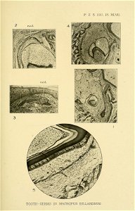 n502_w1150