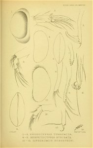 n302_w1150