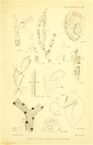 n204_w1150