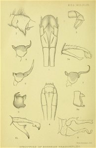 n107_w1150