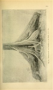 n116_w1150