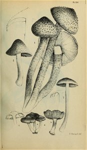 n46_w1150