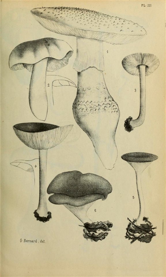 n16_w1150