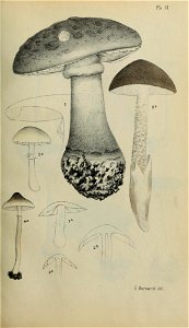 n14_w1150