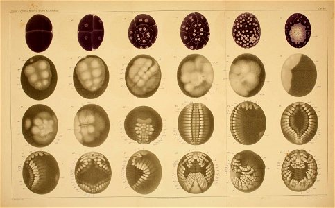 n156_w1150