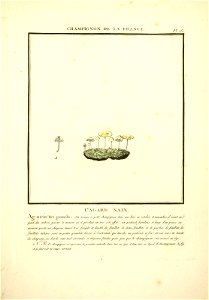 n44_w1150