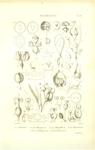 n59_w1150
