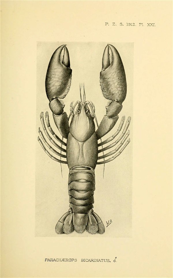 n224_w1150