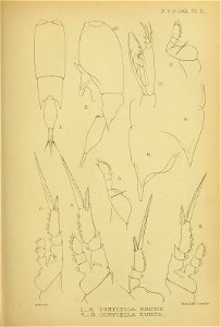 n406_w1150