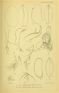 n288_w1150