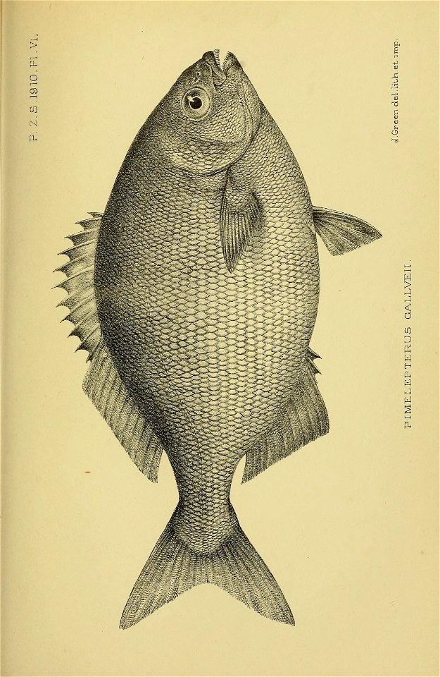 n150_w1150