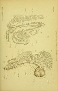 n526_w1150