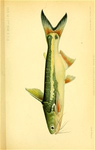 n460_w1150