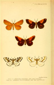 n169_w1150