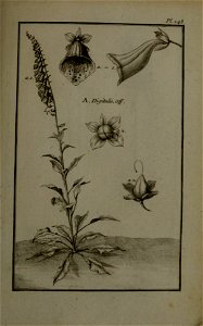 n364_w1150