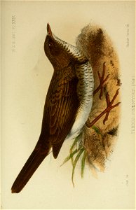 n1178_w1150