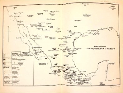 n351_w1150