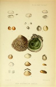 n1206_w1150