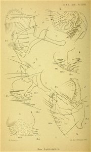 n233_w1150