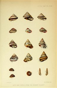 n1204_w1150