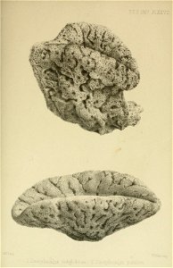 n1174_w1150
