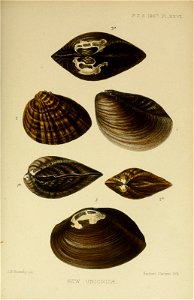 n1172_w1150