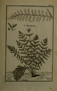 n414_w1150