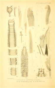 n373_w1150