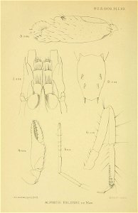 n153_w1150