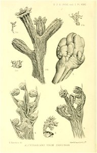 n491_w1150