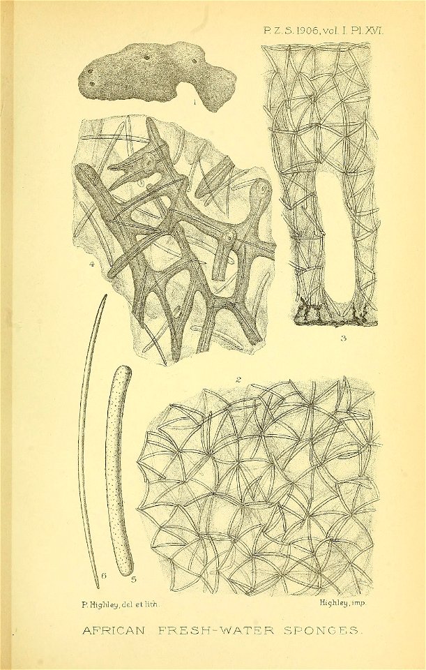 n282_w1150