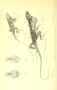 n303_w1150
