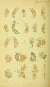 n341_w1150