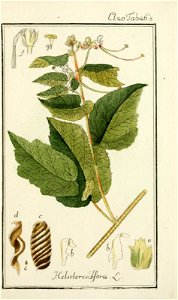 n166_w1150