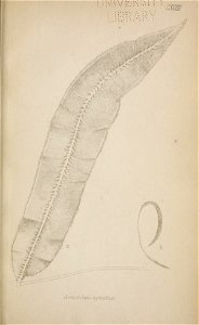 n270_w1150