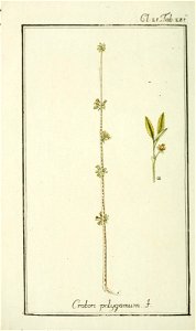 n193_w1150