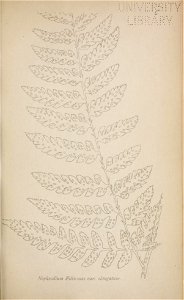 n204_w1150