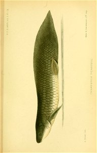 n214_w1150