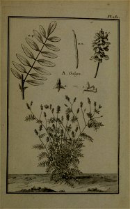 n428_w1150