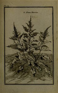 n216_w1150