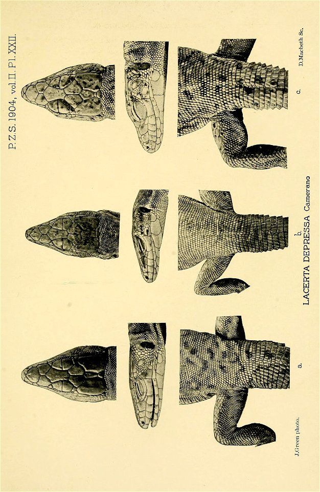 n404_w1150
