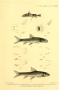 n420_w1150