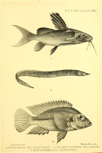 n412_w1150