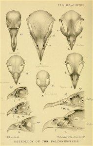 n365_w1150