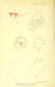 n567_w1150