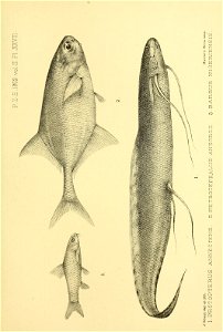 n410_w1150