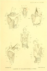 n352_w1150