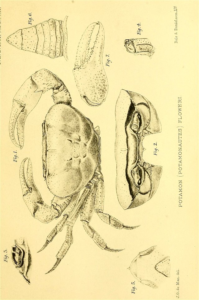 n138_w1150