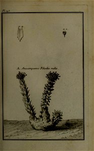 n152_w1150